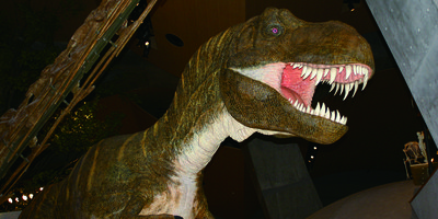 🏛️ 군마 현립 자연사박물관 (군마켄리츠시젠시하쿠부츠칸) 이미지 2